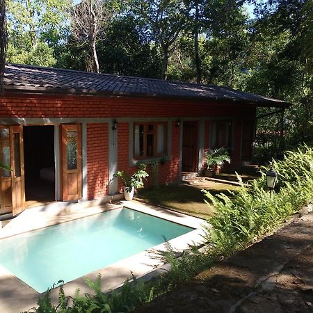 Tea Leaf Retreat Daire Kandy Dış mekan fotoğraf