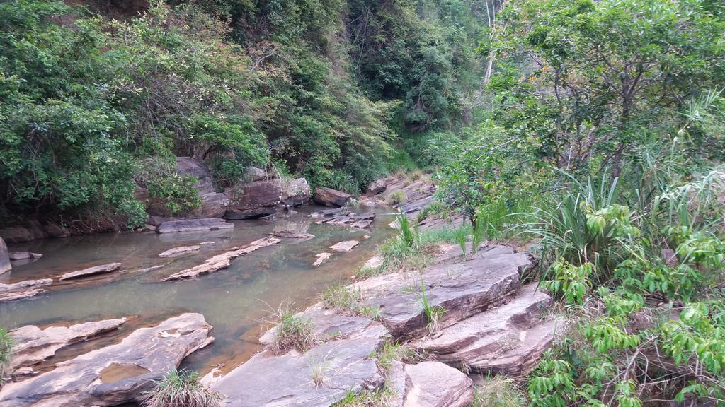 Tea Leaf Retreat Daire Kandy Dış mekan fotoğraf