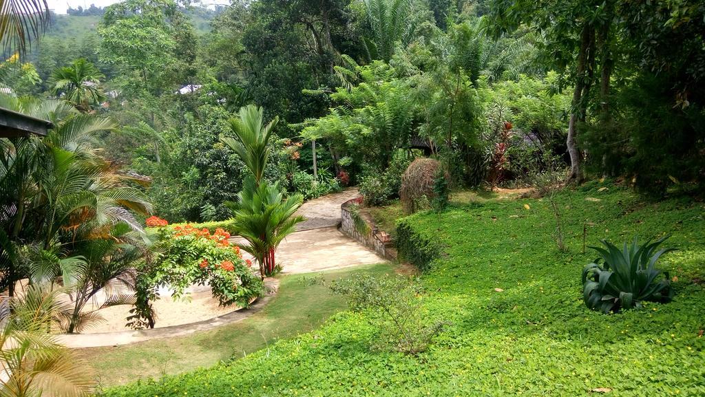 Tea Leaf Retreat Daire Kandy Dış mekan fotoğraf