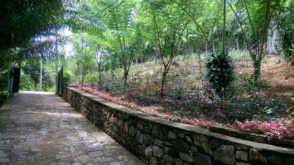 Tea Leaf Retreat Daire Kandy Dış mekan fotoğraf