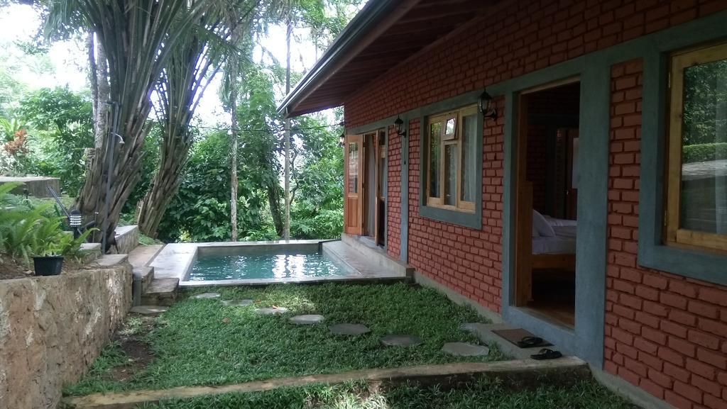 Tea Leaf Retreat Daire Kandy Dış mekan fotoğraf