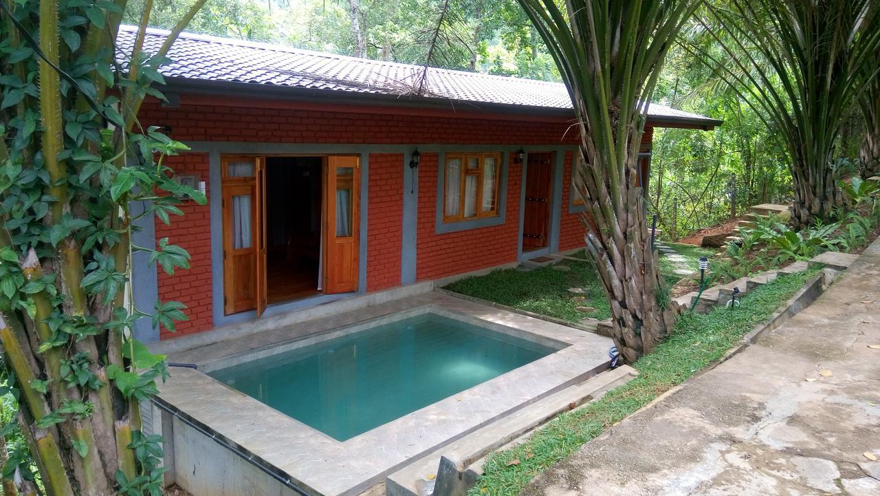 Tea Leaf Retreat Daire Kandy Dış mekan fotoğraf