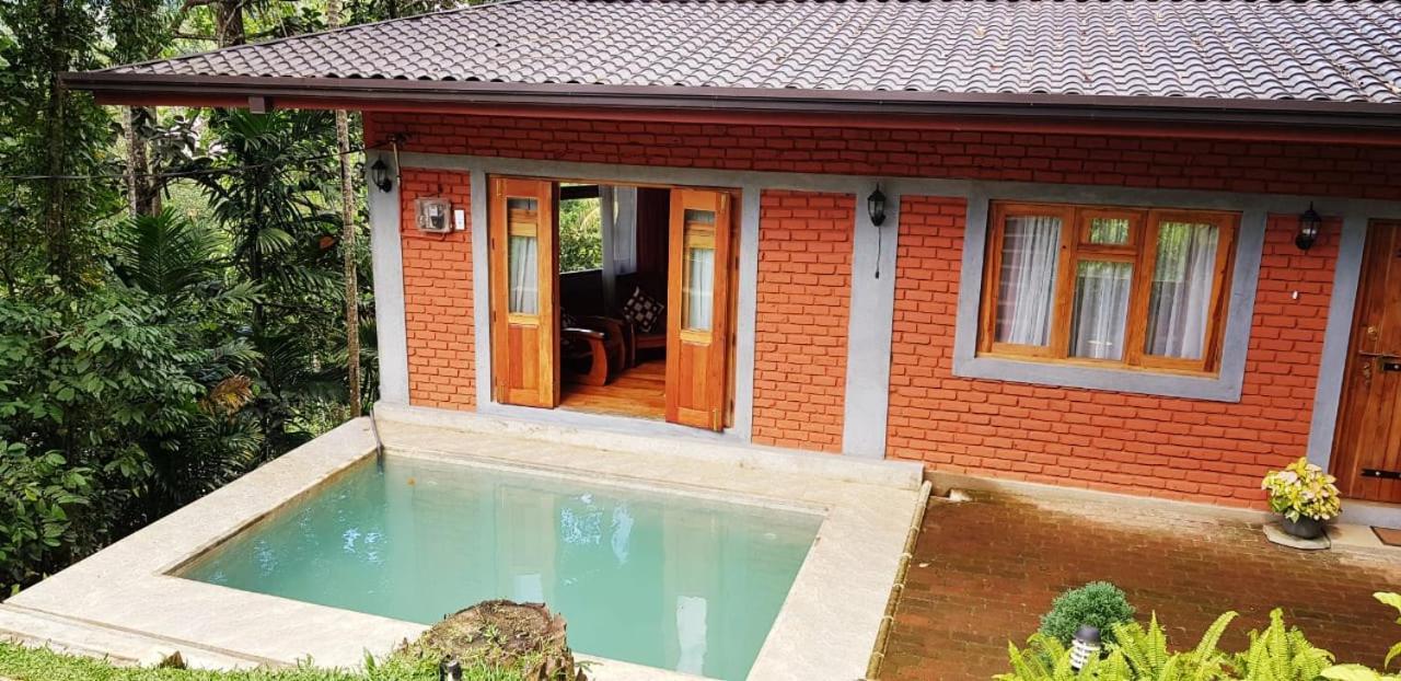 Tea Leaf Retreat Daire Kandy Dış mekan fotoğraf