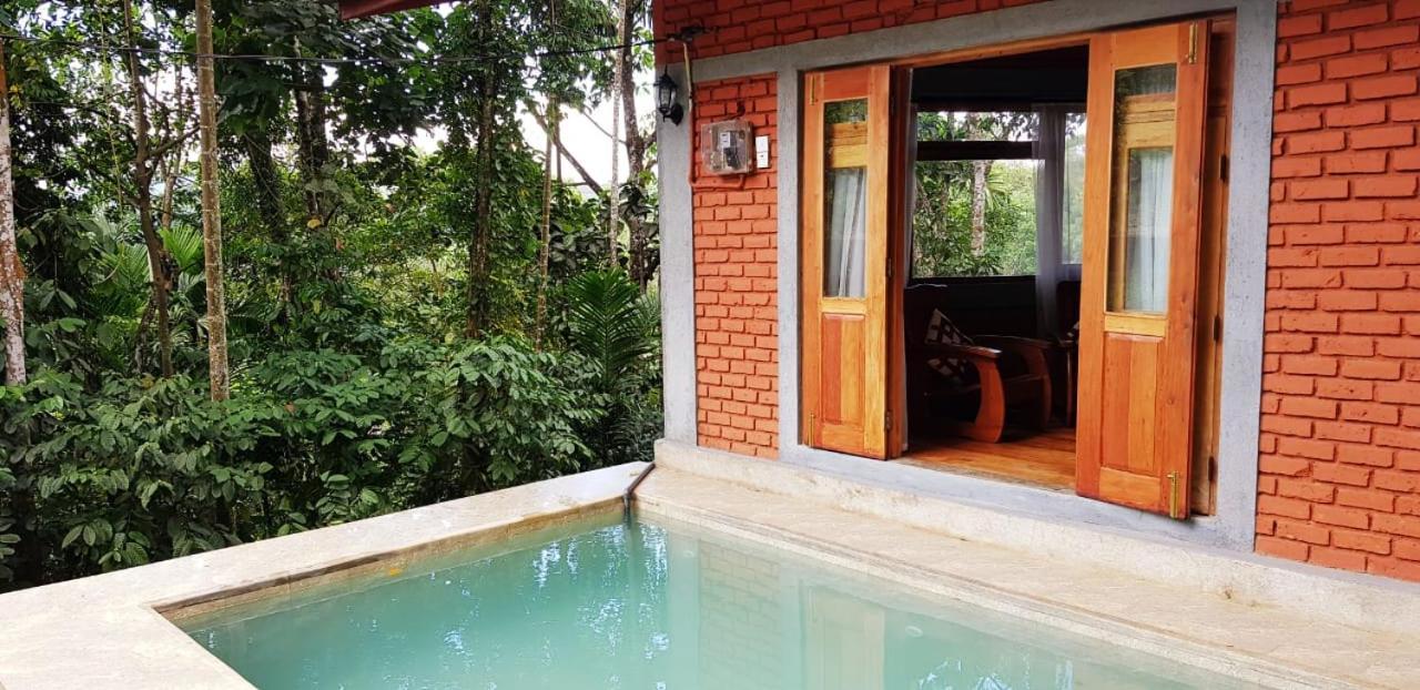 Tea Leaf Retreat Daire Kandy Dış mekan fotoğraf