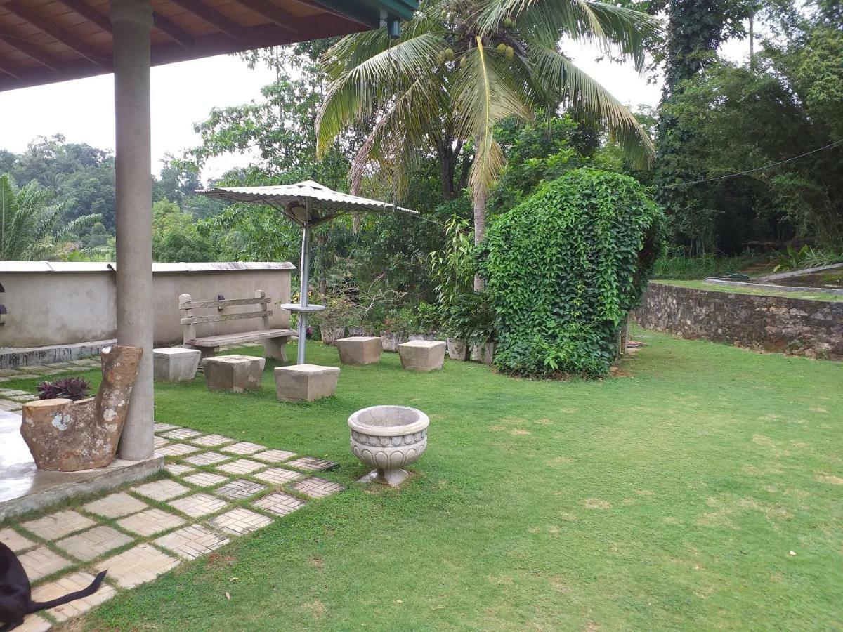 Tea Leaf Retreat Daire Kandy Dış mekan fotoğraf