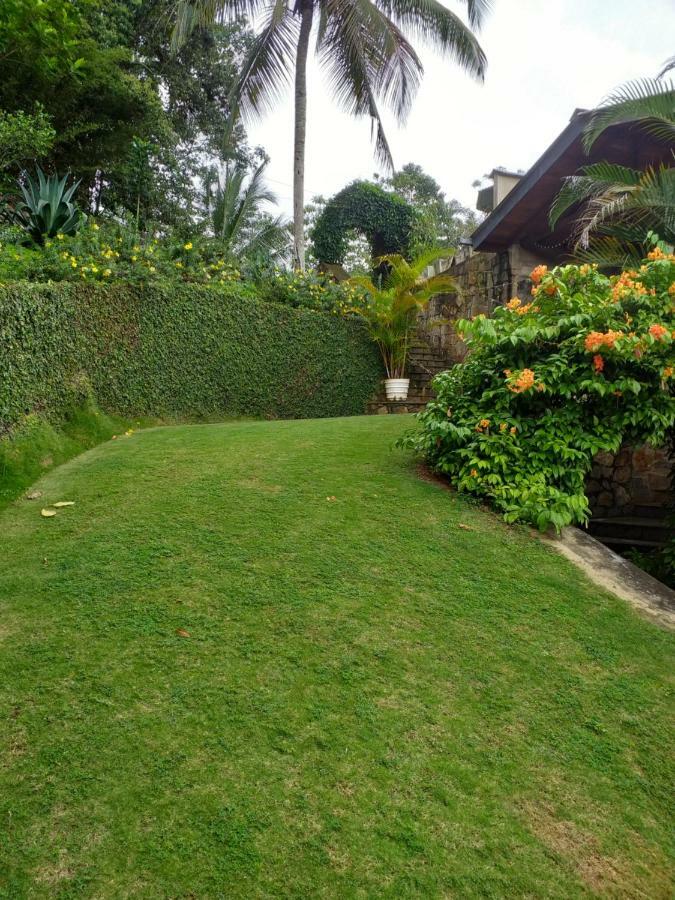 Tea Leaf Retreat Daire Kandy Dış mekan fotoğraf