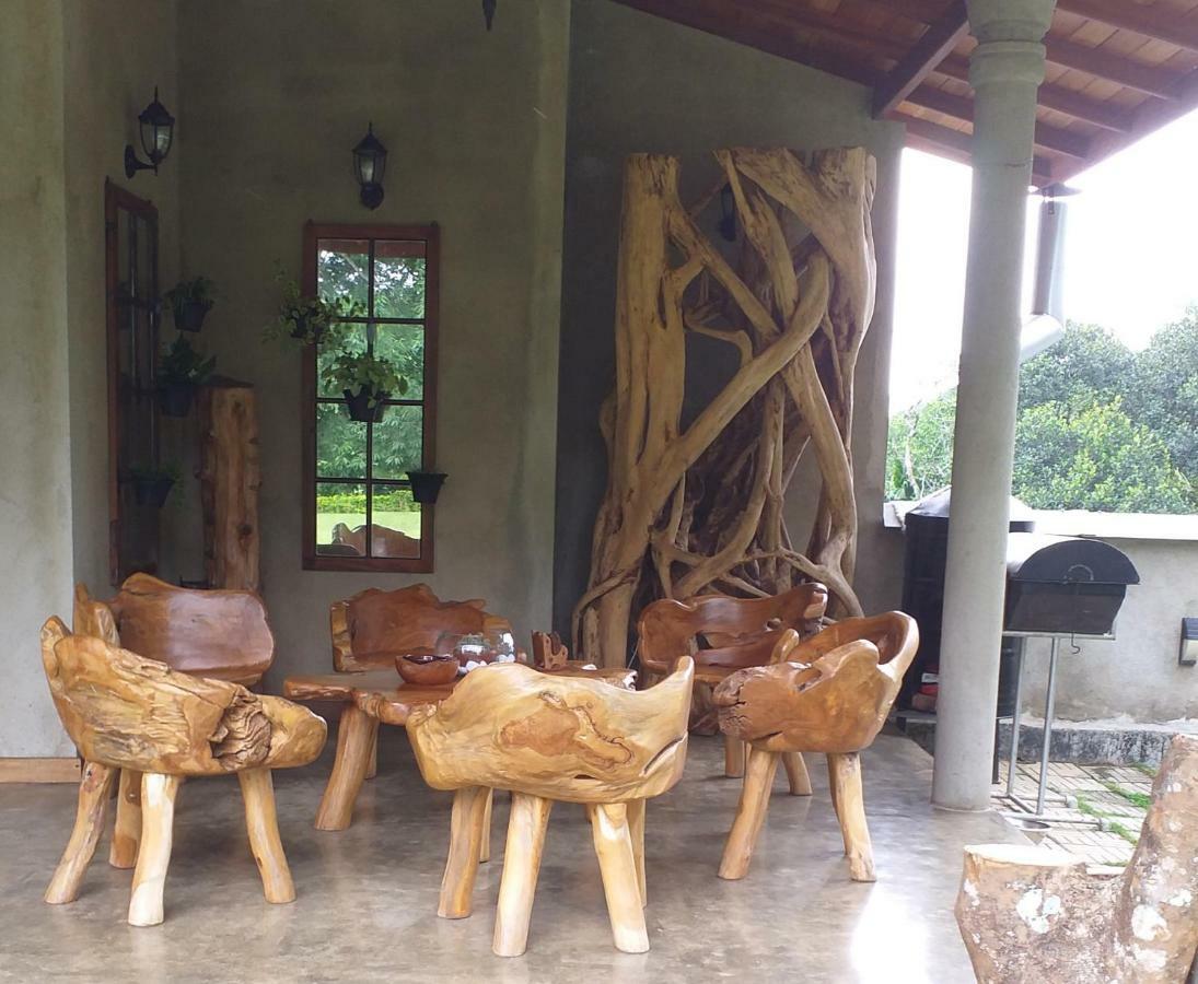 Tea Leaf Retreat Daire Kandy Dış mekan fotoğraf